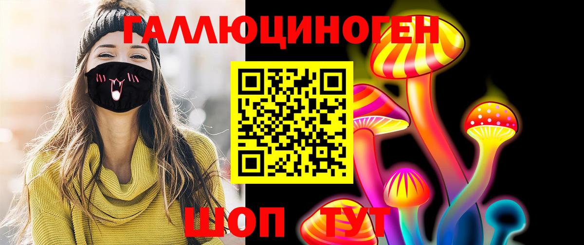 Псилоцибиновые грибы Psilocybe Семёнов