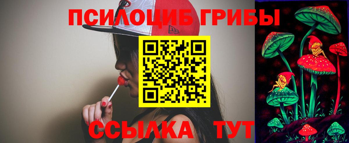 Псилоцибиновые грибы Psilocybe  Псилоцибиновые грибы Cubensis  Семёнов  Вход с VPN 